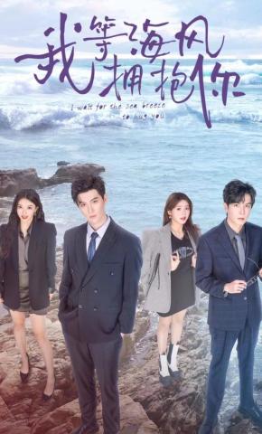短剧我等海风拥抱你海报