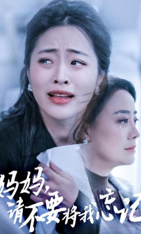 短剧妈妈，请不要将我忘记海报
