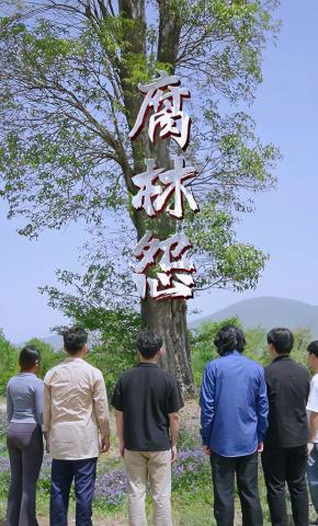 短剧腐林怨海报