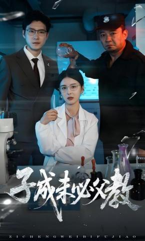 短剧子成未必父教海报