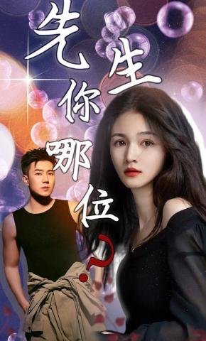 短剧《先生，你哪位？》海报