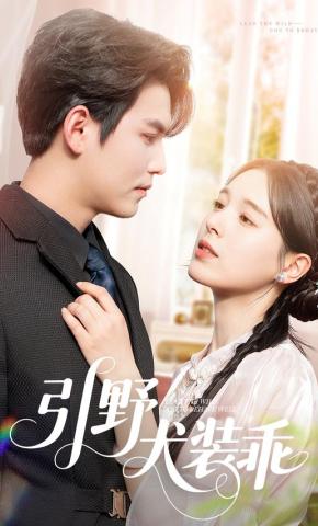 短剧《引野犬装乖》海报