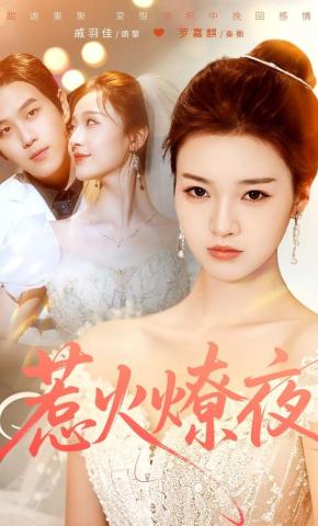 短剧惹火燎夜海报