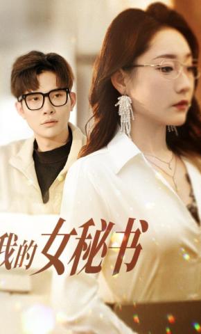 短剧我的女秘书海报