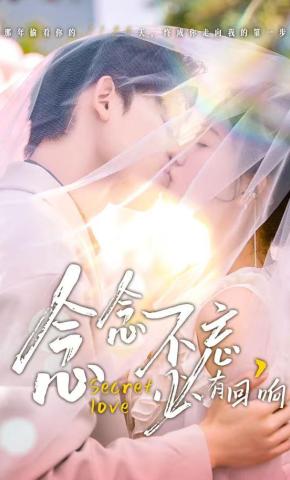 短剧念念不忘，必有回响海报