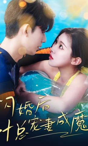 短剧《闪婚后叶总宠妻成魔》海报