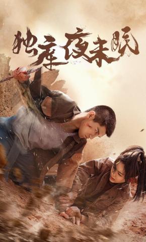 短剧独库夜未眠海报