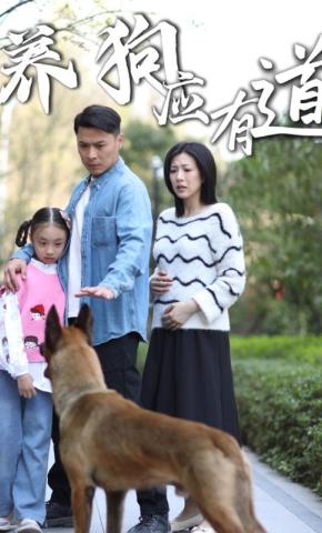 短剧《养狗应有道》海报