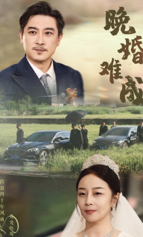 短剧《晚婚难成》海报