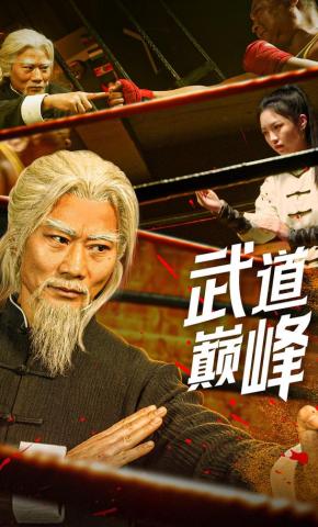 短剧《武道巅峰》海报