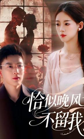 短剧《恰似晚风不留我》海报