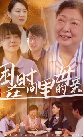 短剧困在时间里的母亲海报