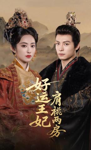 短剧《好运王妃肩祧两房》海报