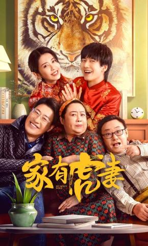短剧家有虎妻海报