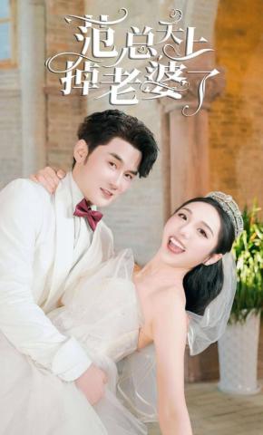 短剧范总天上掉老婆了海报