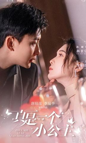 短剧真是一个小公主海报