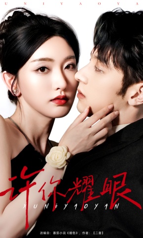 短剧《许你耀眼》海报