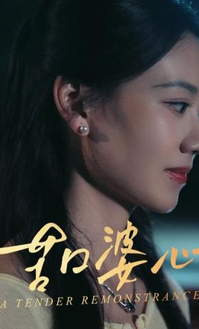 短剧苦口婆心海报