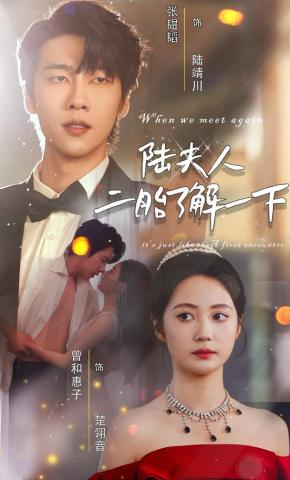 短剧《陆夫人，二胎了解一下》海报