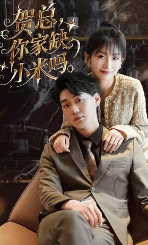 短剧《贺总，你家缺小米吗》海报