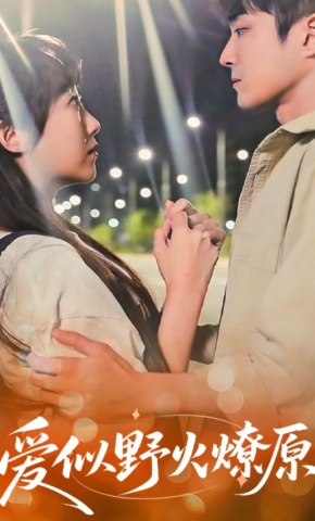 短剧《爱似野火燎原》海报