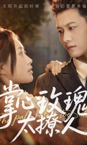 短剧《掌心玫瑰太撩人》海报