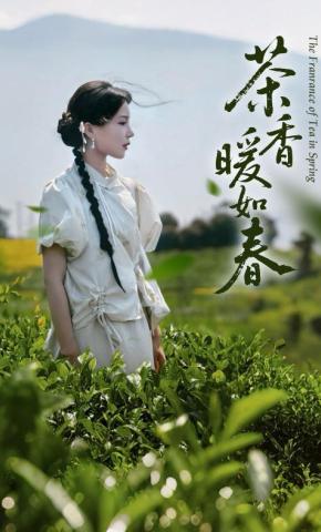 短剧《茶香暖如春》海报