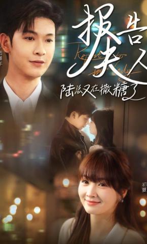 短剧《报告夫人陆总又在撒糖了》海报