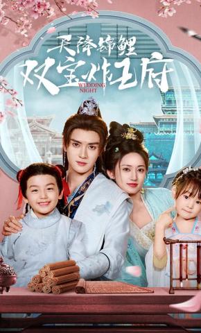 短剧《天降锦鲤双宝炸王府》海报