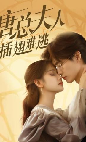 短剧唐总夫人插翅难逃海报