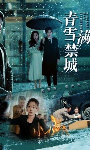 短剧《雪落无声》海报