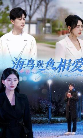 短剧《海鸟跟鱼相爱》海报