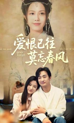 短剧爱恨已往莫忘春风海报