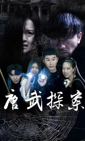 短剧唐武探案海报