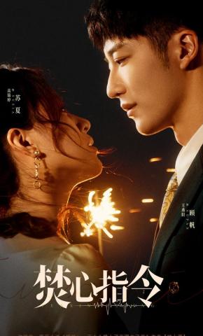 短剧《焚心指令》海报