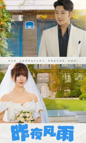 短剧《昨夜风雨》海报