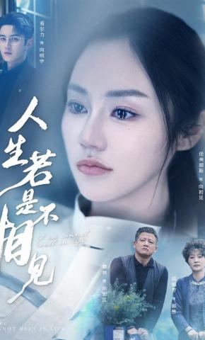 短剧《人生若是不相见》海报