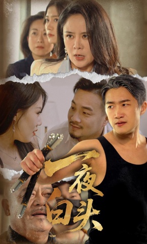 短剧《一夜白头》海报