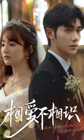短剧《相爱不相识》海报