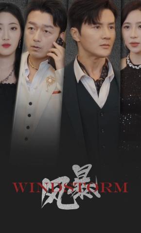 短剧《风暴》海报