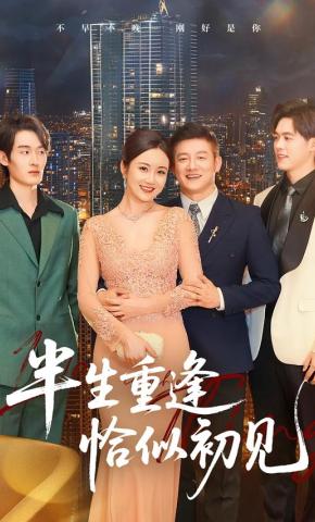 短剧《半生重逢恰似初见》海报