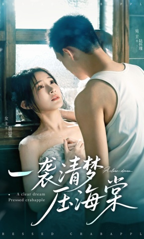 短剧《一袭清梦压海棠》海报