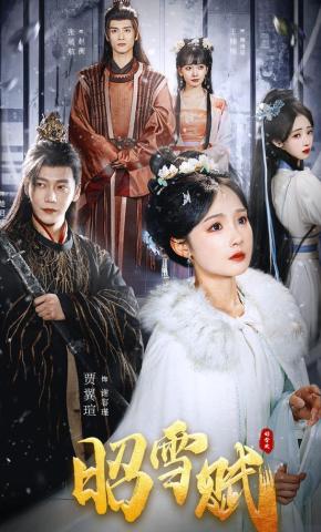 短剧《昭雪赋》海报