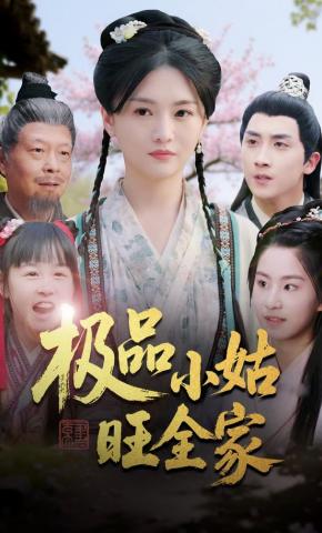 短剧《极品小姑旺全家》海报
