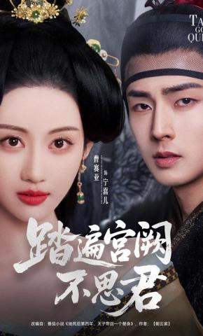 短剧《踏遍宫阙不思君》海报