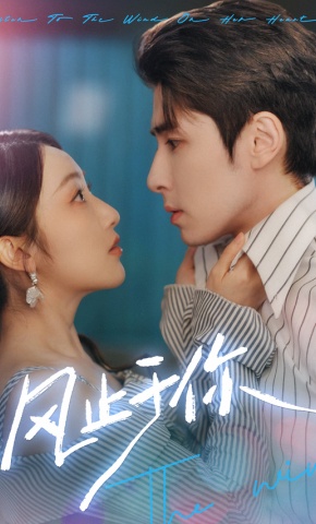 短剧《风止于你》海报