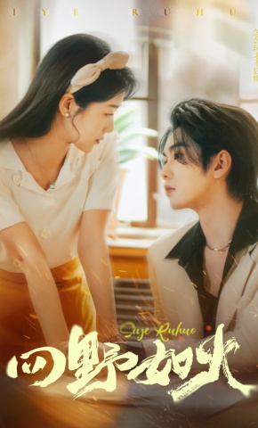 短剧《四野如火》海报