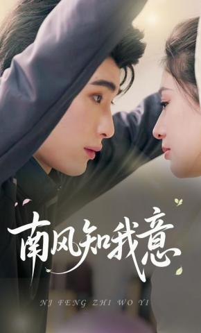 短剧《南风知我意》海报