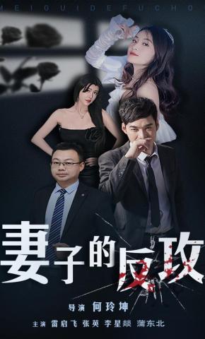 短剧妻子的反攻海报