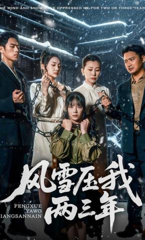 短剧《风雪压我两三年》海报